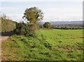 Field at Bickley Farm