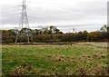 Disused playing field