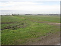 SK9195 : Farm track near Blyborough by Jonathan Thacker