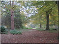 Footpath through Fillingham Park