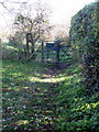 Footpath through Rushy Meade