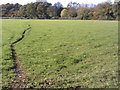 Path towards South Heath