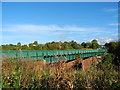 Hattersley Viaduct (2)