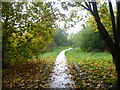 Path leading to Grovewood Drive South