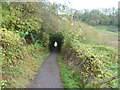 Footpath to Roseacre