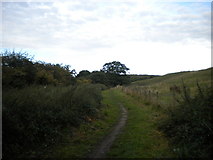 SK5333 : Bridleway near Brandshill Wood by Richard Vince
