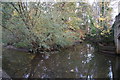 The River Foss at Huntington Road, York