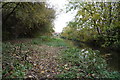 River Foss towards New Earswick