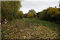 River Foss towards New Earswick