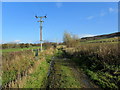 Farm Track leading off Hallgate Hill