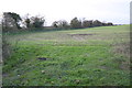 Entrance to field from NW side of Pettiwell