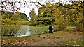 Alexandra Lake, Wanstead Flats