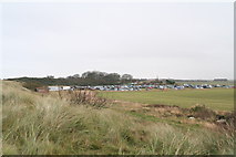 TF4299 : Seal extravaganza at Donna Nook: overflow carpark by Chris