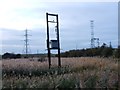 Disused Utility Pole, Botany Marsh