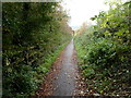 Footpath to Katharine Lady Berkeley