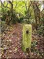 Supposed footpath near Hartcliffe Way