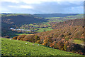 Late autumn in the Rheidol valley