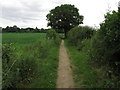 Enclosed path running N from Flaunden Church