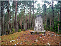 NH6548 : Trig Point on Ord Hill by Julian Paren