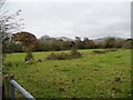 Vestigial field boundary, south of Lon Ddwr