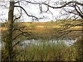 Whitmuir Loch