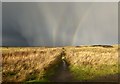 NZ2797 : Approaching storm over the Northumberland Coast Path by Russel Wills