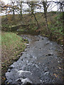 SD5645 : The River Brock at Brooks Packhorse Bridge by Karl and Ali
