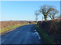 A bend in Whin Lane, east of Rose Farm