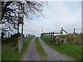 Track to Bryn Hafod and Tyddyn Mawr