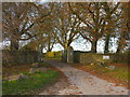 Entrance to Hazelbury Manor