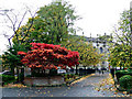 Cathedral Square garden