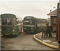 Two single-decker buses at Box Hill