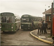TQ1951 : Two single-decker buses at Box Hill by David Hillas
