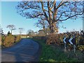 Double bend on Rawcliffe Road