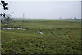 Waterlogged farmland near Hesketh Lane