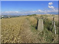 Trig point on Rookery Hill, Bishopstone, E Sussex