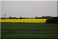 TL4705 : Yellow and green by N Chadwick