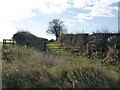 Public footpath to Swinhoe