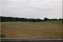 TQ5790 : Grassland by the M25 by N Chadwick