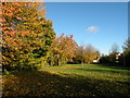 Autumn colour in Teversham