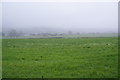 Green fields by Hesketh Lane