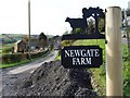 Track to Newgate Farm, Newgate