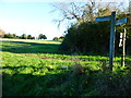 Bridleway signpost at footpath junction