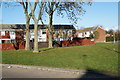 Houses on Cleeve Drive, Bransholme, Hull