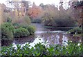 Parkland, below Morfa Common