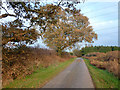 Single track road with passing places