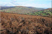 SO2820 : Gaer viewed from the south-west by Philip Halling