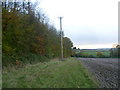 View along the edge of Perry Wood