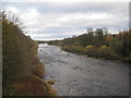 NZ0562 : River Tyne from Bywell bridge by Les Hull