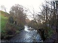 The River Etherow near Broadbottom